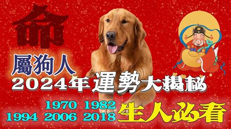 1982年屬狗 運勢|【1982 屬狗】1982年屬狗2024年驚人運勢：最佳婚配、忌諱生肖。